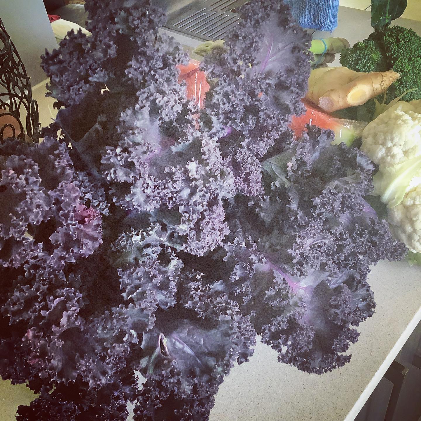 Redbor Kale – A little nutrient powerhouse